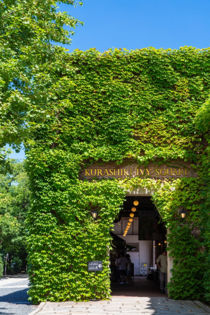 倉敷美観地区のアイコン的存在「倉敷アイビースクエア」