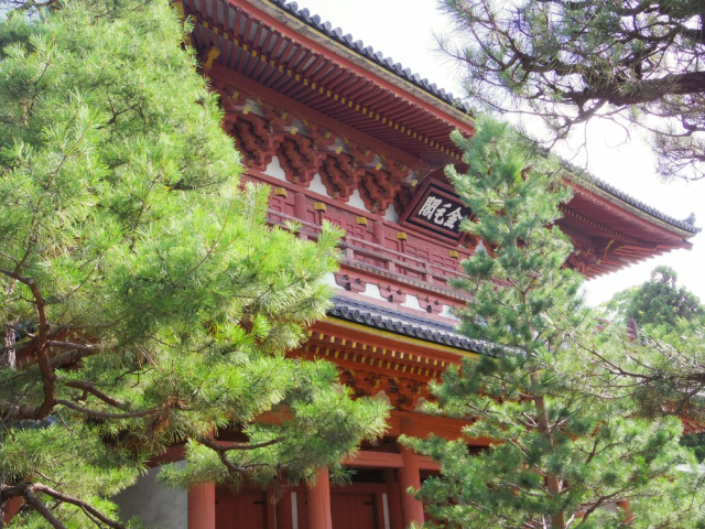 長谷川等伯は千利休の後ろ盾を得て名刹・大徳寺で絵を描いた