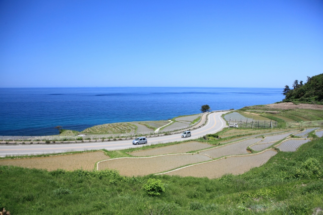 白米千枚田は世界農業遺産「能登の里山里海」のメインスポット!地すべり地で挑んだ開拓とは?