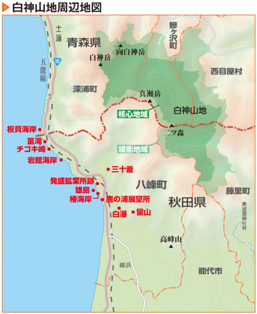 白神山地とは