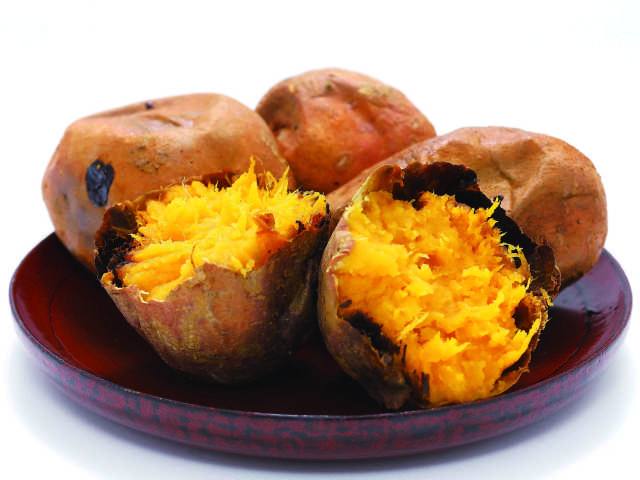 種子島には北限と南限の植物が共存!?