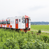 羽後交通の雄勝線と横荘線とは？昭和40年代に消えたローカル私鉄 (2
