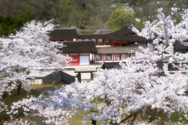 前九年の役・後三年の役が終結して奥州の平泉文化は花開いた