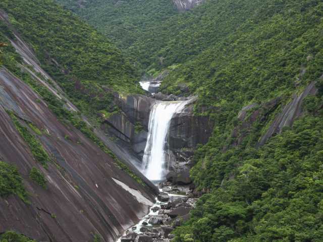 【鹿児島の有人離島⑩】屋久島(やくしま)