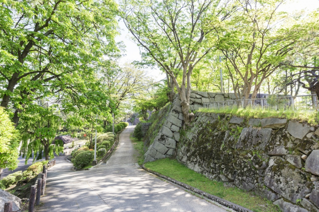 【岩手の江戸時代の歴史】盛岡藩の分割と代官による「通」の統治