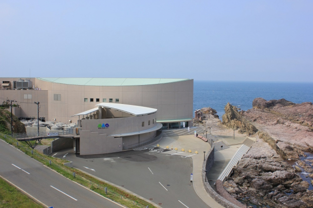 ④男鹿水族館GAO前の海岸