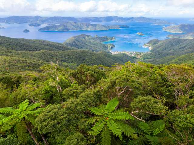 【鹿児島の有人離島⑲】奄美大島(あまみおおしま)