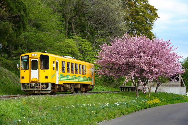 秋田内陸縦貫鉄道は魅力が満載!~鷹巣と角館を結ぶ旧国鉄路線~