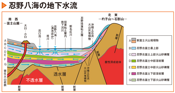 忍野八海の水質の理由