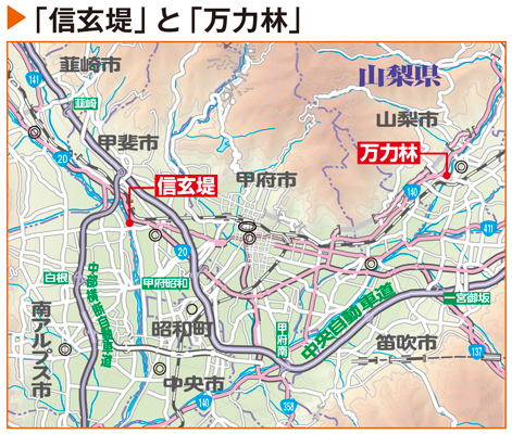 「西の信玄堤、東の万力林」は今も甲府盆地を守る