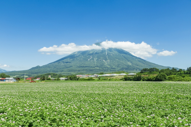 山梨の大水害後に北海道へ集団移住した人々も