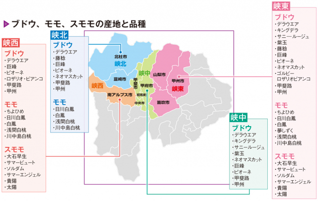 【山梨の果物③】スモモの栽培も盛ん