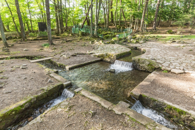 武田信玄も認めた山梨の水「三分一湧水」の伝説