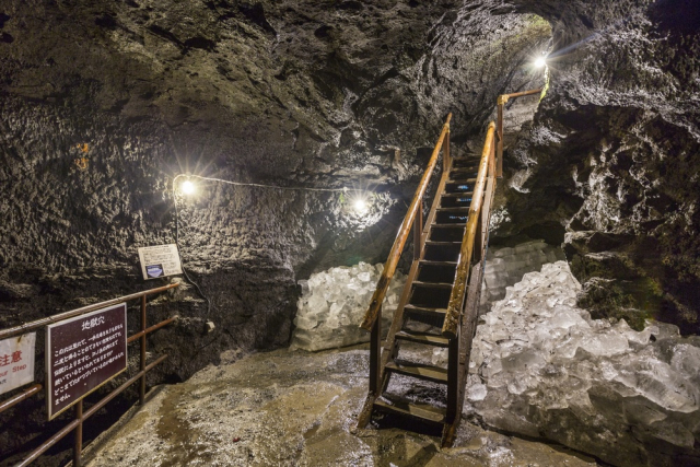 青木ヶ原樹海は富士山にまたがる原生林