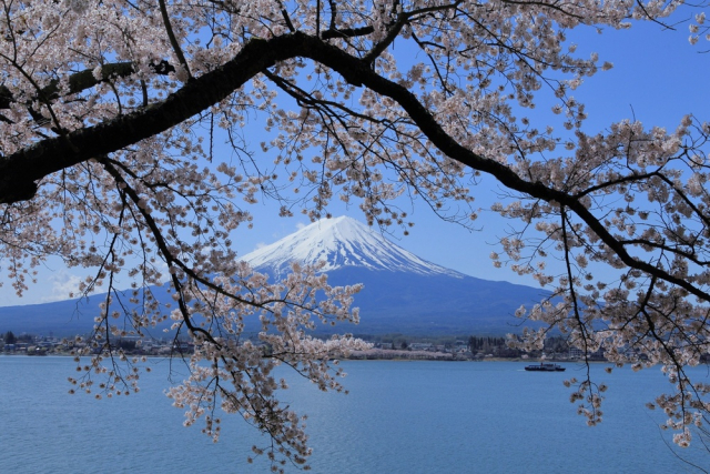 富士五湖形成の歴史~その成り立ちは富士山の溶岩でせき止められた2つの湖だった!?