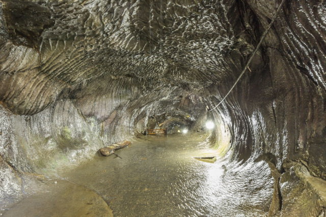 「胎内樹型」とは?自然の神秘を感じる富士山世界文化遺産の構成資産