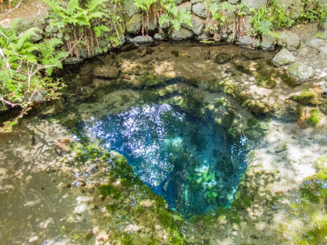忍野八海の歴史と成り立ち~「池」だけど「海」といわれる神秘の風景を魅せる湧水地~