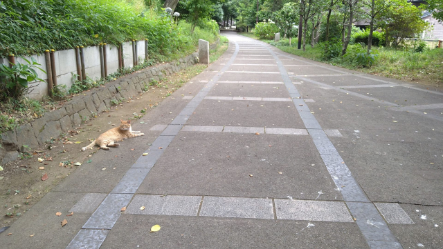 赤羽の台地に延びる謎の線路　【東京都北区】