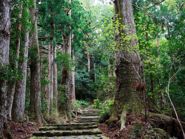 南方熊楠が守った国の天然記念物「神島」の自然~世紀の鬼才といわれた博物学者