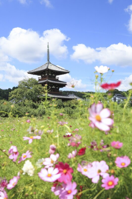 聖徳太子ゆかりの地:法起寺(ほうきじ)奈良県斑鳩(いかるが)町