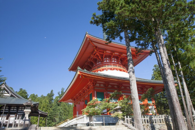 空海が死を迎えるまでにしたこととは?~最晩年まで密教の基盤強化のために活動した空海は、弟子たちに指示を残し62歳で入定した