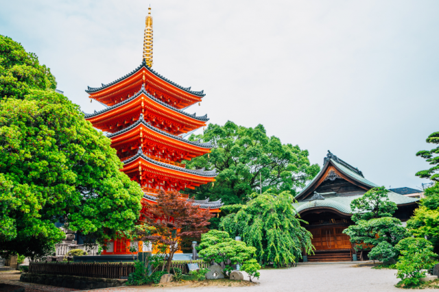 空海の寺は高野山金剛峰寺・東寺だけじゃない。空海が修行した寺・拠点とした寺・開基した寺から四国遍路の寺まで