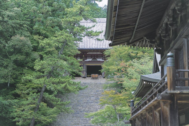 空海が開いた真言宗(真言密教)とは~1200年前から受け継がれる空海の教え